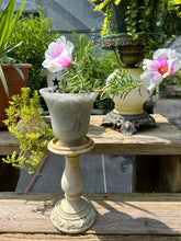 Load image into Gallery viewer, Portulaca grandiflora Samba Peppermint pint plant Southern Flower Garden Southern Flower Garden