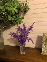 Load image into Gallery viewer, Salvia leucantha Mexican Sage Pint Plant**AVAILABLE SPRING 2023** Southern Flower Garden Southern Flower Garden