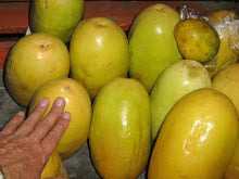 Load image into Gallery viewer, Passiflora quadrangularis Giant Granadilla 10 seeds Southern Flower Garden Southern Flower Garden